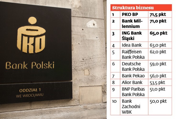 O ile w tempie rozwoju małe banki mają przewagę nad dużymi, to w przypadku struktury biznesu jest odwrotnie. Duzi mieli czas na uporządkowanie biznesu, a jednym z podstawowych celów jest dla nich stabilność. Najlepszą strukturą biznesu wykazał się w ubiegłym roku PKO BP.