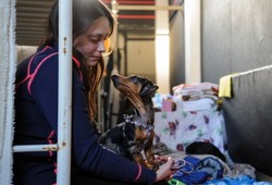 Mieszkaniec Lwowa: Niech moskiewski diabeł znika, nasi przyjaciele to Polska