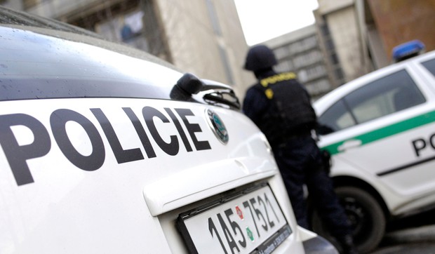 Policija, Češka