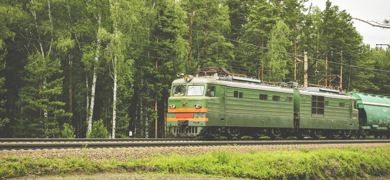 Sterroryzował maszynistę pod Warszawą i porwał lokomotywę. Sprawcy grozi do 8 lat więzienia