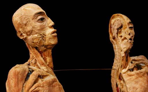 AUSTRALIA-HUMAN BODY-EXHIBITION