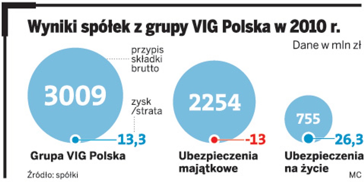 Wyniki spółek z grupy VIG Polska w 2010 r.