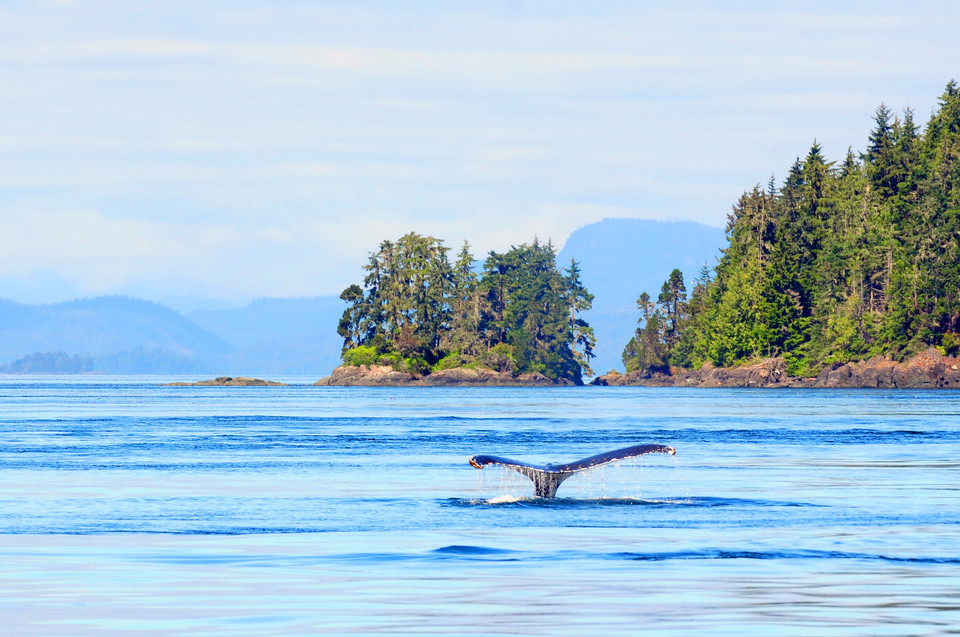 Vancouver Island, Kanada