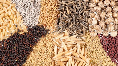 FG set to leverage ICT-based platform for effective delivery of farm inputs to farmers in Nigeria