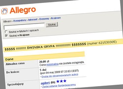 Tak zarabia się na świńskiej grypie w sieci