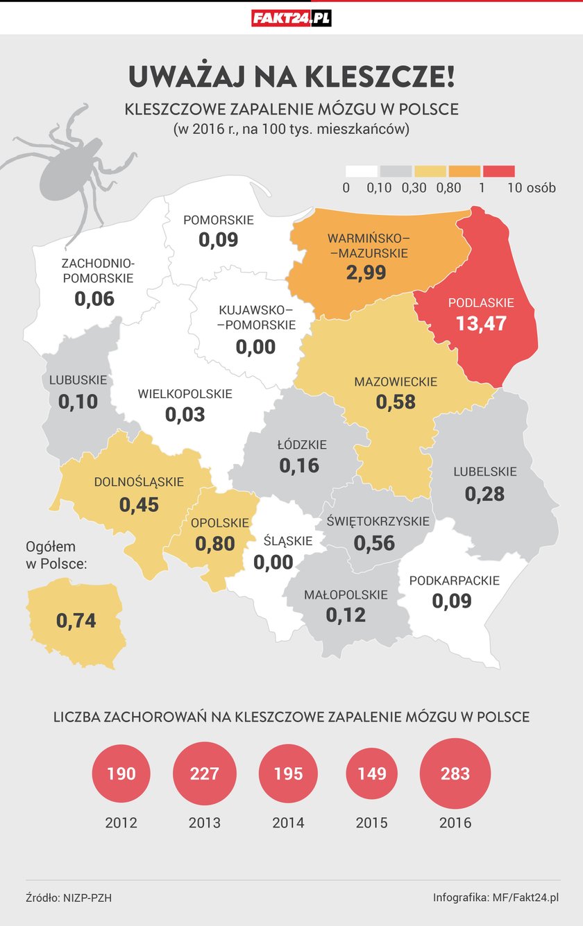 Kleszczowe zapalenie mózgu