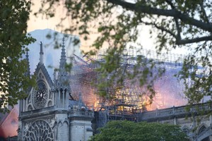 Pożar Notre Dame - rusza zbiórka pieniędzy