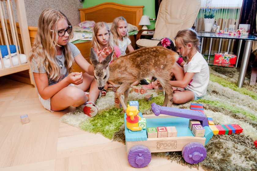 Czuje się jak w domu