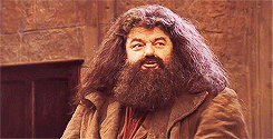 7 örökérvényű igazság a Harry Potter és a Bölcsek kövéből