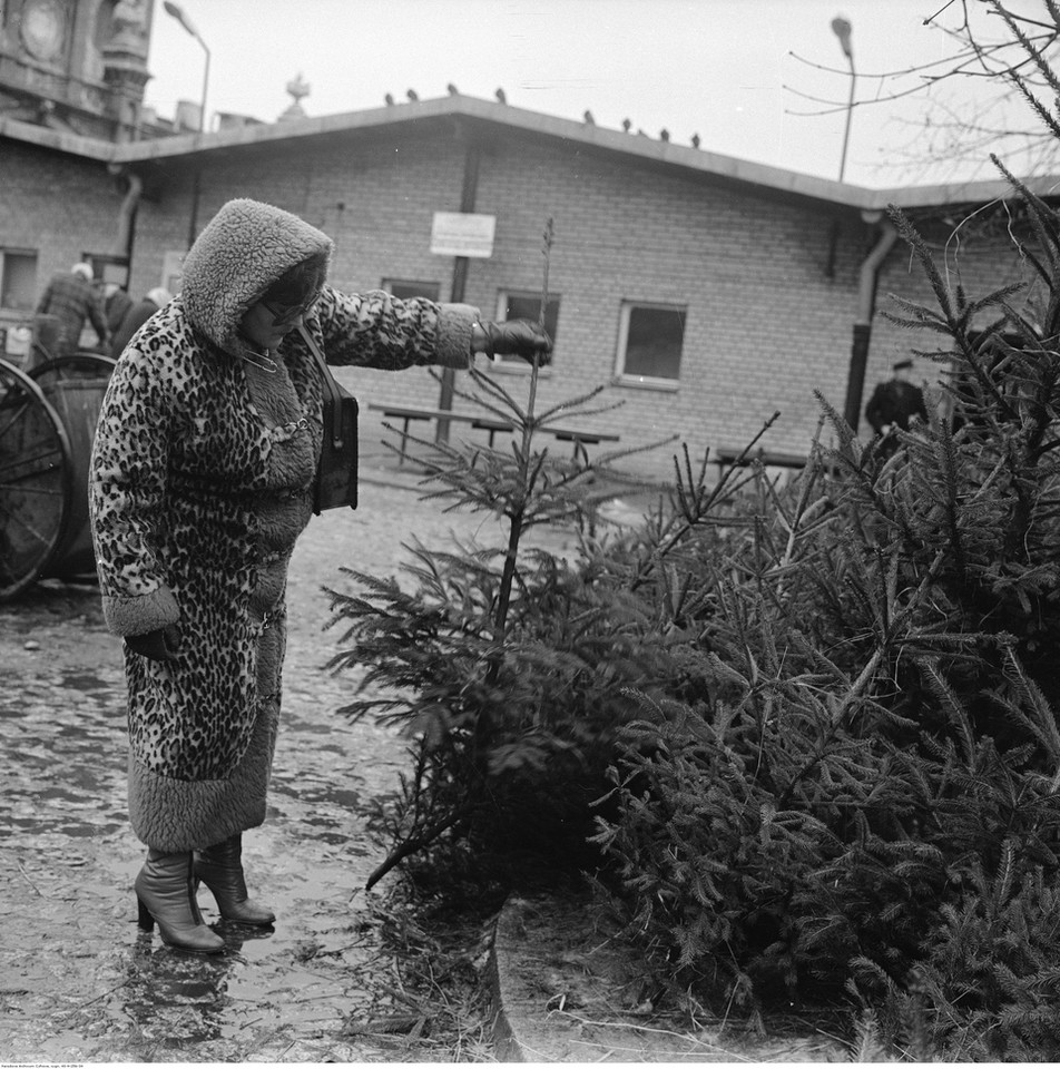 Sprzedaż choinek na bazarze przed Halą Mirowską w Warszawie (1979 r.)