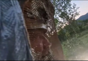 Vladica Stanković, hvatač zmija , juri stršljene