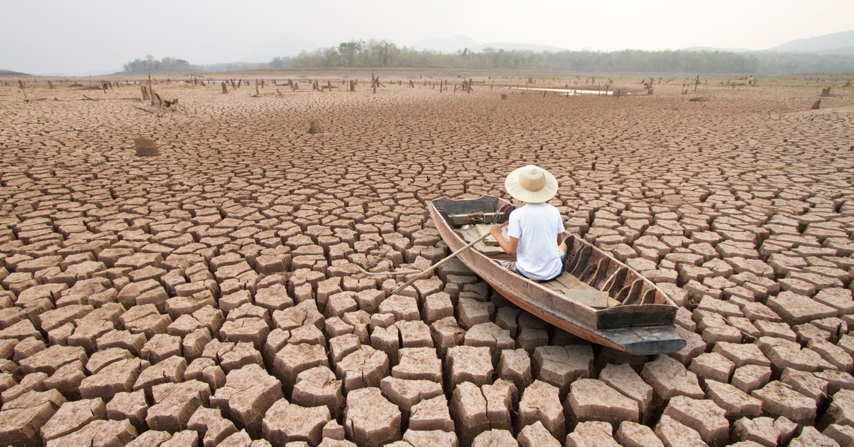 Pierwszy dzień po apokalipsie