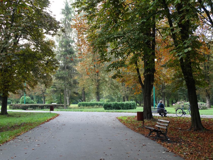 Lublin potrzebuje parków