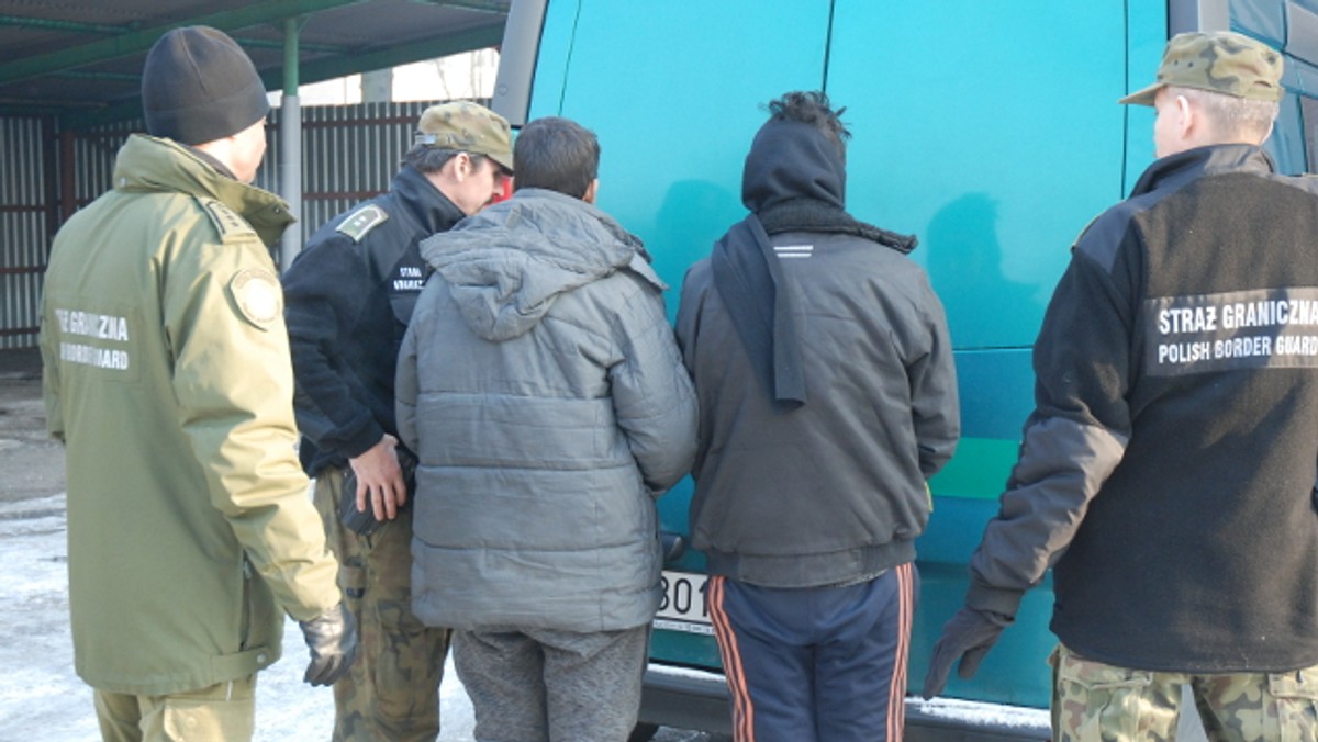 Policjanci z Gliwic odkryli dwóch Afgańczyków, którzy ukryli się w naczepie ciężarówki jadącej z Bałkanów do Polski. Mężczyźni chcieli dostać się do Francji, ale prawdopodobnie zostali oszukani przez pośrednika w Serbii, który wziął pieniądze za ich transport. Młodzi mężczyźni zostali już przekazani straży granicznej, trwają ustalenia co do ich wieku oraz tożsamości.