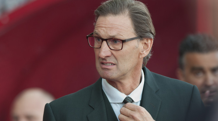 Tony Adams, a Granada vezetőedzője/Fotó: AFP