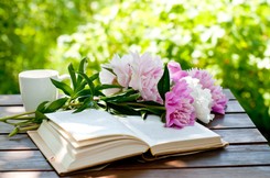 Najsłynniejsze arcydzieła o miłości. Podstępny QUIZ dla romantycznych moli książkowych