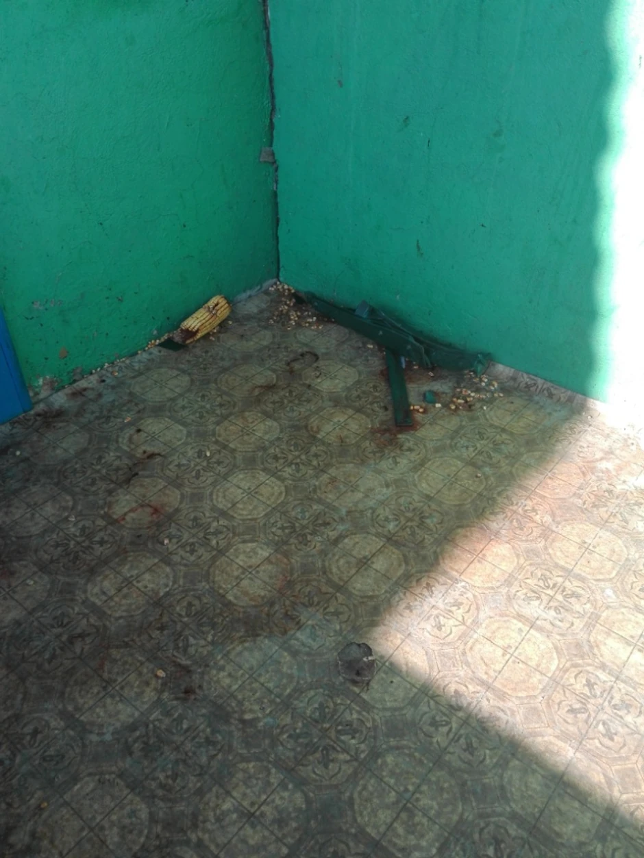 Prag gde je Vlada izbo Tamaru