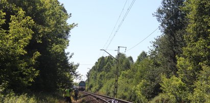 Samobójca rzucił się pod pociąg