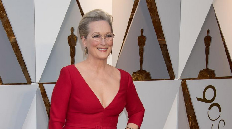 Meryl Streepet először a 2006-os Az ördög Pradát visel című filmben láthattuk ezüstös hajjal, 2015 óta a magánéletben is ilyen /Fotó: Northfoto