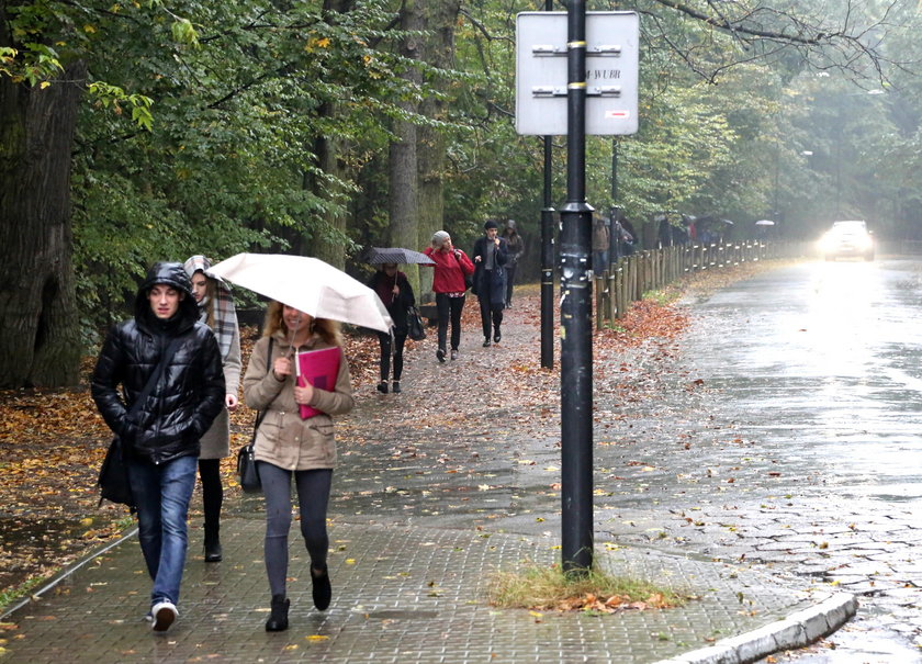 Autobus pojedzie przez rezerwat na Bielanach