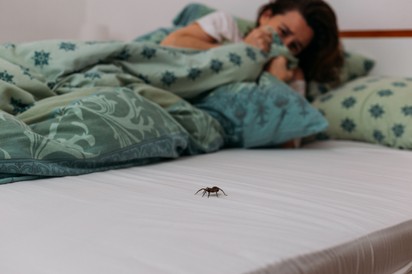 Összeesett a nő a hálószobájában, miután meglátott egy pókot - kiderült, agydaganata van