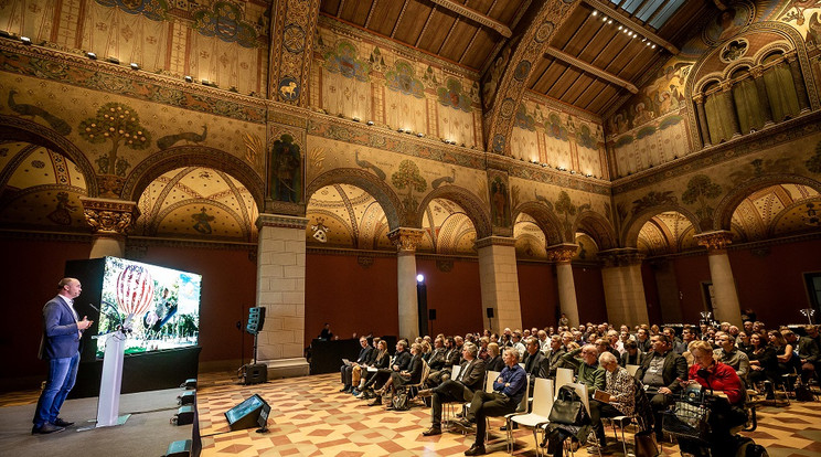 A Szépművészeti Múzeum megújult Román Csarnokában