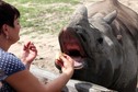 WARSZAWA ZOO POKAZY KARMIENIA