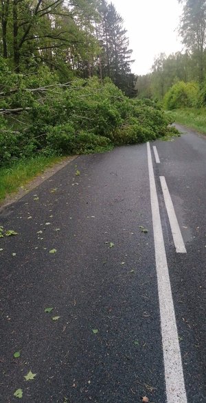 Silne podmuchy wiatru na Pojezierzu Drawskim. Powalone drzewa i brak prądu