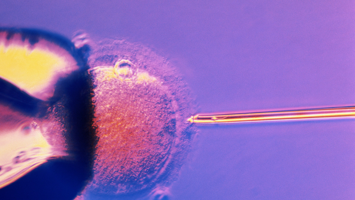 Metoda in vitro jest moralnie niedopuszczalna. Kolejny raz przypomina o tym Kościół na Malcie w związku z toczącą się w tamtejszym parlamencie dyskusją na temat zalegalizowania sztucznego zapłodnienia.