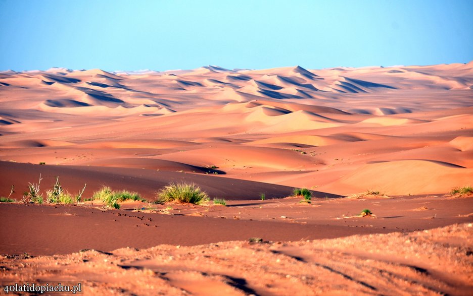 Arabia Saudyjska, wyprawa na pustynię Ar-Rab al-Chali