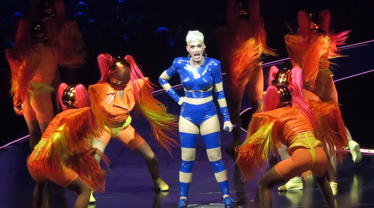 Katy Perry hiába sikeres énekesnő, többre
vágyik /Fotó: Northfoto