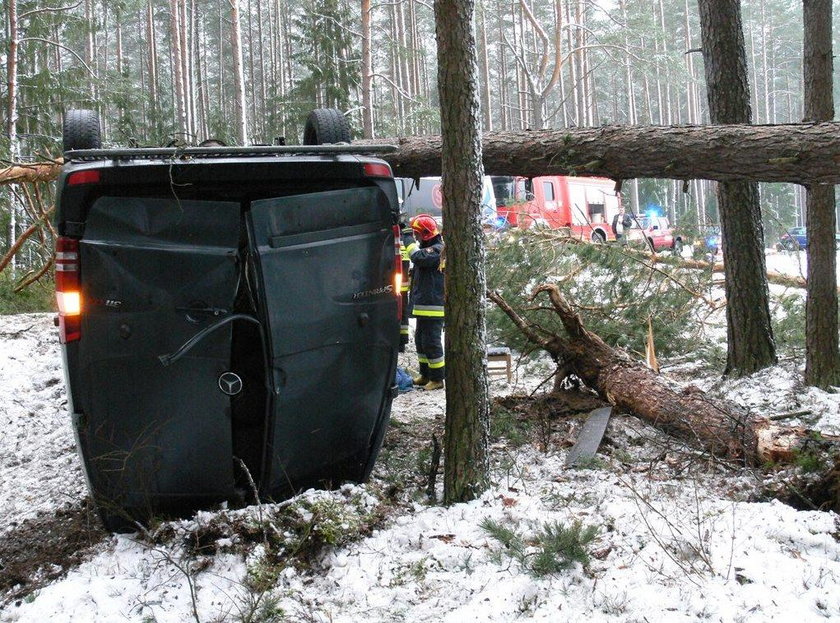 Pień drzewa spadł na auto