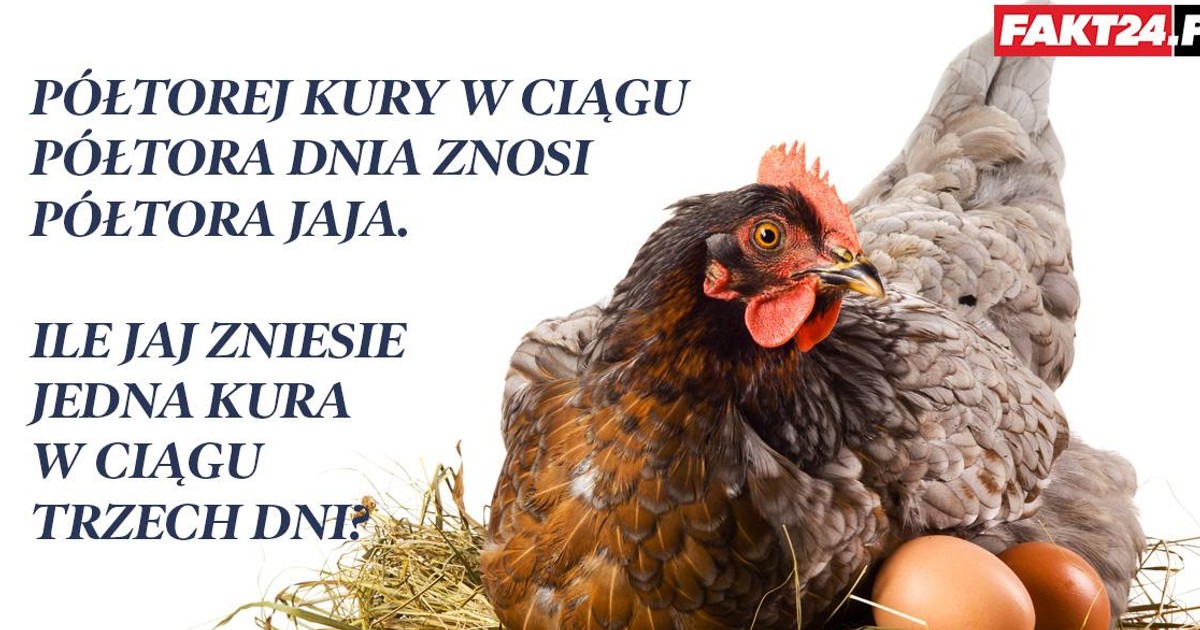 Dlaczego Kura Gdacze Po Zniesieniu Jajka Zagadka matematyczna kura i jajka