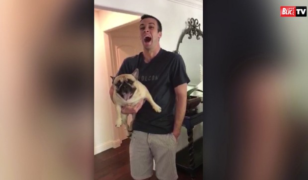 AP_Ludi_buldog_vesti_blic_safe