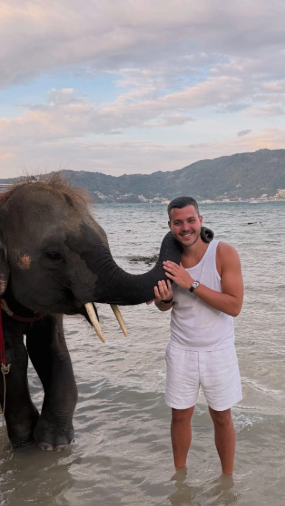 Viktor Živojinović