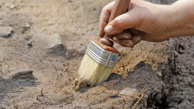 Wyjątkowe odkrycie polskich archeologów w Sudanie. Pozostałości po tysiącletnim ogrodzie