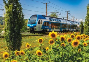 Polja suncokreta nikla su duž železničkih pruga tokom leta