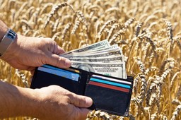 MF: Małe zainteresowanie rolników sprzedażą bezpośrednią