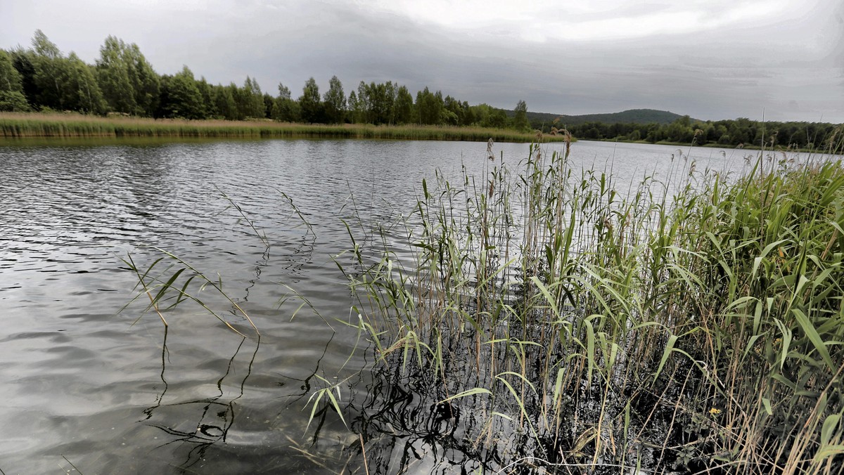 Park linowy nad powierzchnią wody, zjeżdżalnie, wypożyczalnie rowerów i kajaków – m.in. takie atrakcje deklaruje inwestor, który za prawie 3 mln zł kupił od gminy Chęciny jedenastohektarowy zalew w Bolminie.