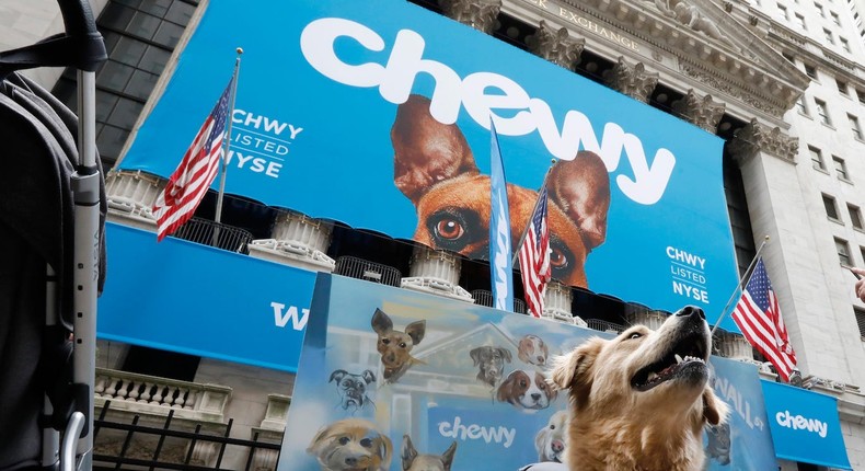 Chewy shares were up as much as 28% Thursday afternoon, while Petco shares briefly surged as much as 13% higher.AP Photo/Richard Drew