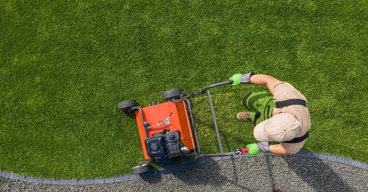 Wertykulacja trawnika - kiedy wykonać jesienią? Wertykulacja trawnika w październiku - czy to dobry pomysł?