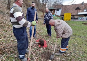 Park Pecina Valjevo sadnja novih stabala01