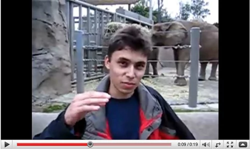 Pierwsze wideo na YouTube - Jawed Karim w towarzystwie słoni