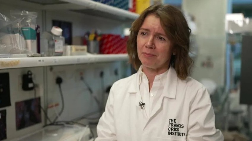 Samra Turajlić je onkološkinja u bolnici Rojal Marsden i predvodi projekat na Institutu Frensis Krik u Londonu | Foto: BBC