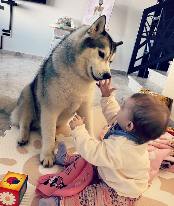 Kristina i Nikola pružili su devojčici topli dom i puno ljubavi