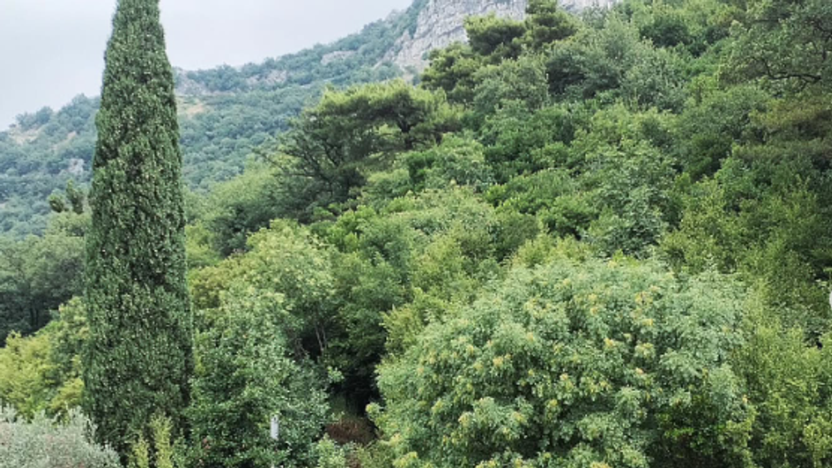 Naša glumica (37) ima kuću usred šume: 