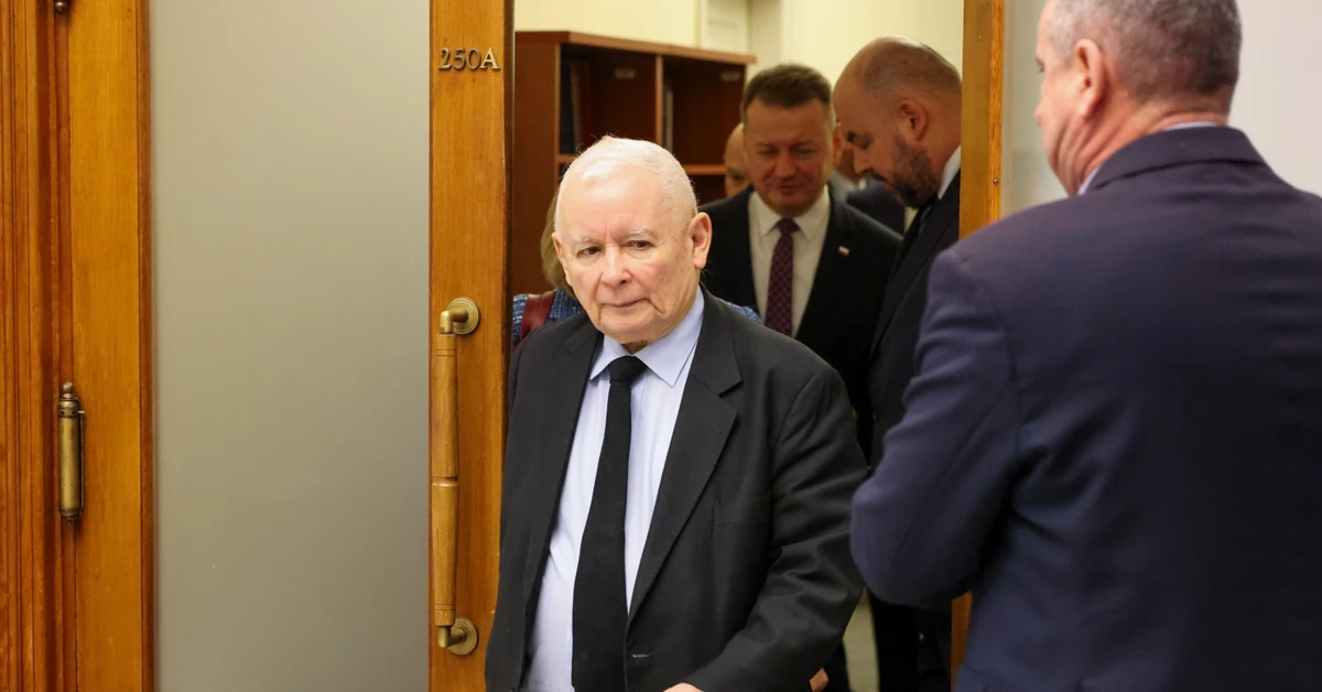 Zakaz trzymania psów na łańcuchach. Prezes PiS zmienia zdanie po wecie Karola Nawrockiego