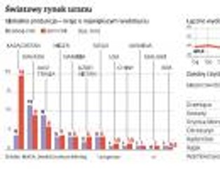 KGHM zainteresował się uranem. Chce kupować złoża za granicą