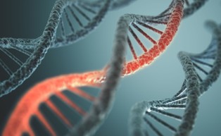 ABM przekaże 300 milionów zł na wdrożenie technologii mRNA w Polsce