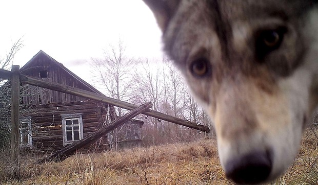 BBC | Foto: Vasily Fedosenko/Reuters